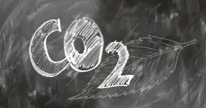 Co To Je Regres?